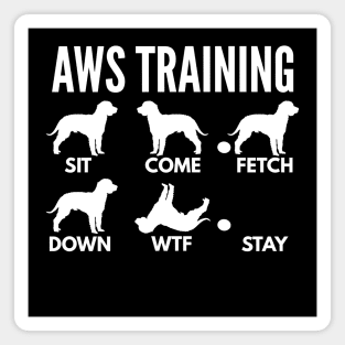 American Water Spaniel Training AWS Tricks Magnet